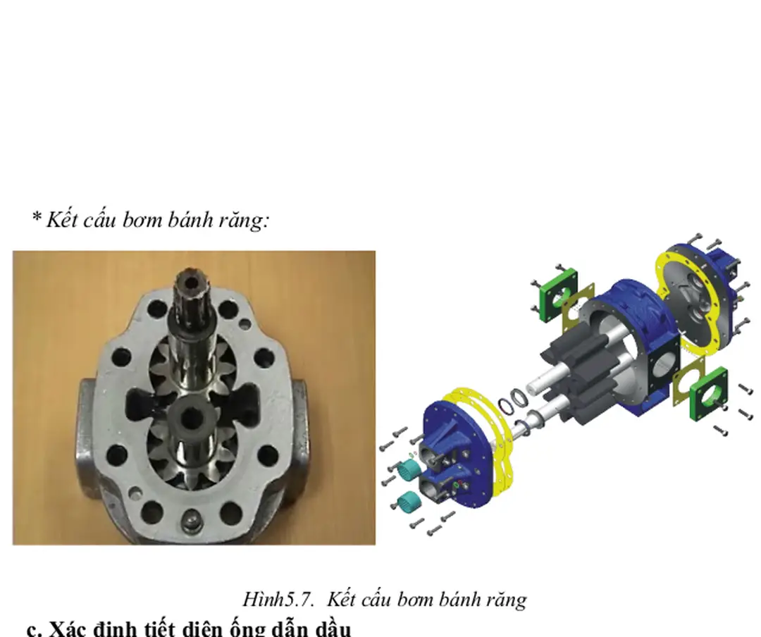 Hình 5.6. Bơm bánh răng ăn khớp ngoài