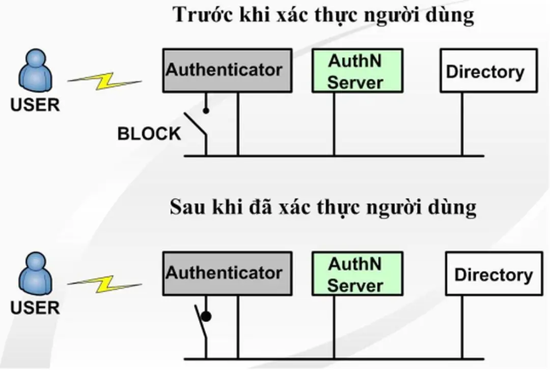 Hình 3.11 Mô hình hoạt động xác thực 802.1x