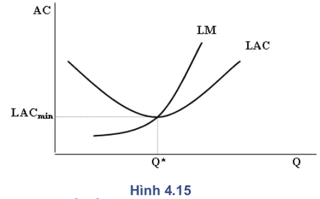 Hình 4.15 3.4. Qui mô sản xuất tối ưu 