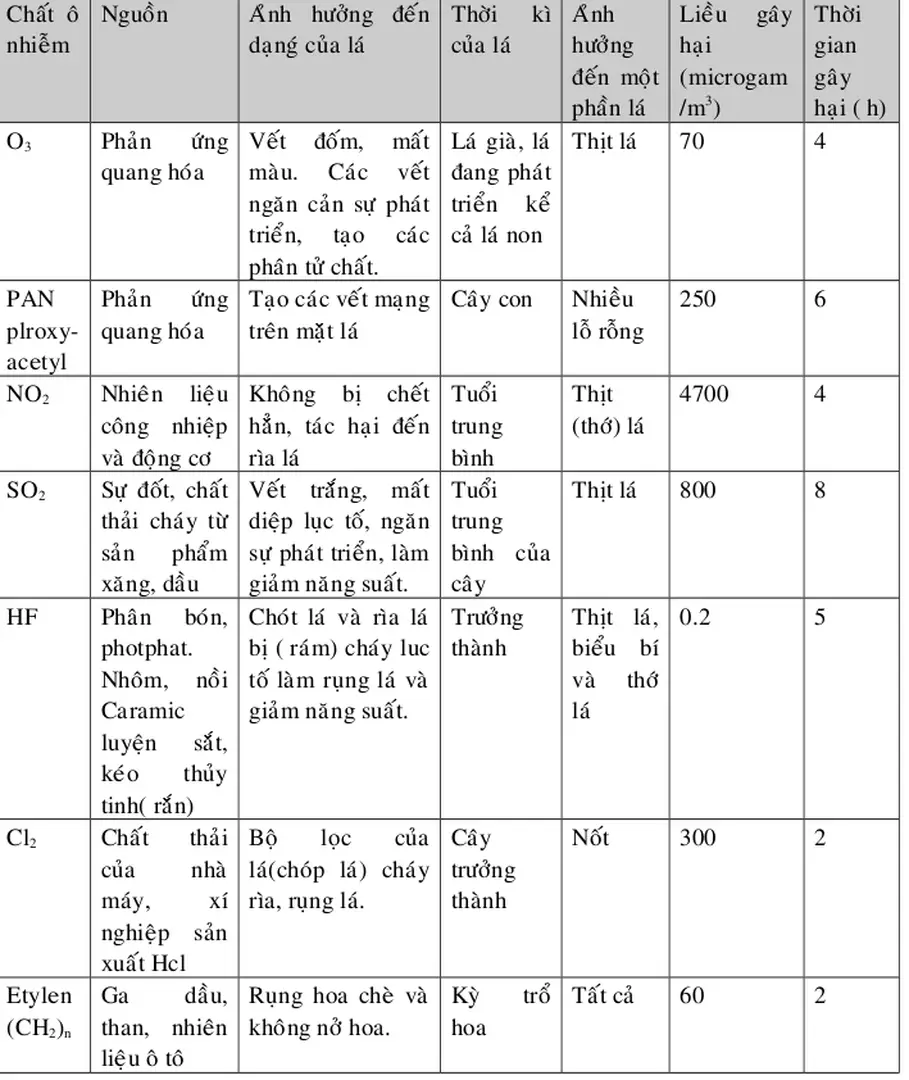 Bảng 2: Aûnh hưởng chất ô nhiễm không khí đến thực vật: