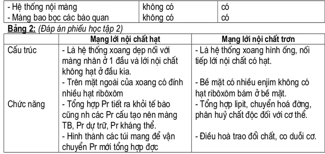 Bảng 2: (Đáp án phiếu học tập 2)
