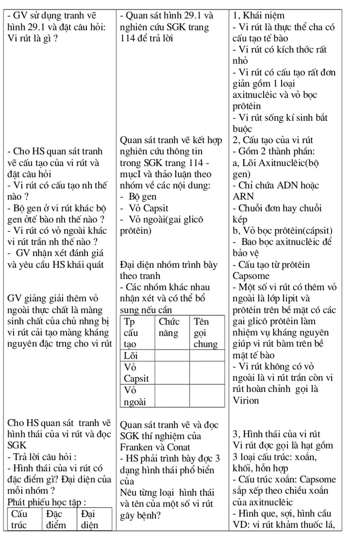3, Hình thái của vi rút Vi rút đợc gọi là hạt gồm  3 loại cấu trúc: xoắn,  khối, hỗn hợp