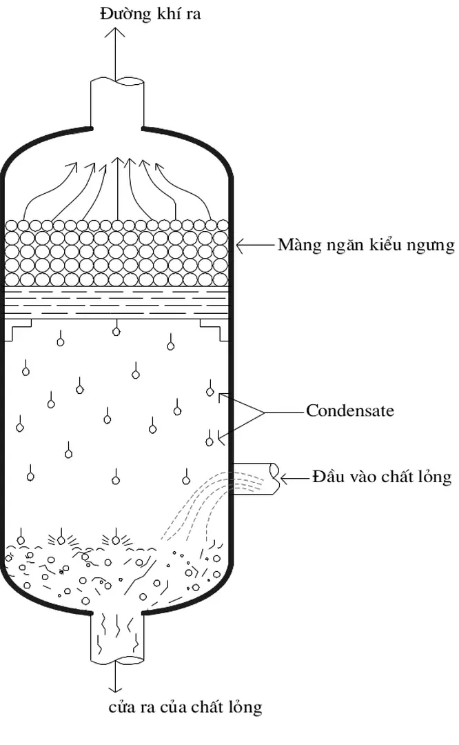 Hình 1.5. Màng ngăn dạng lới kiểu ngng tụ