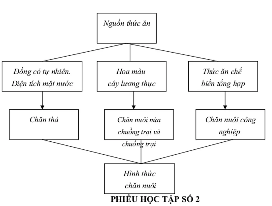 Hình thức  chăn nuôi