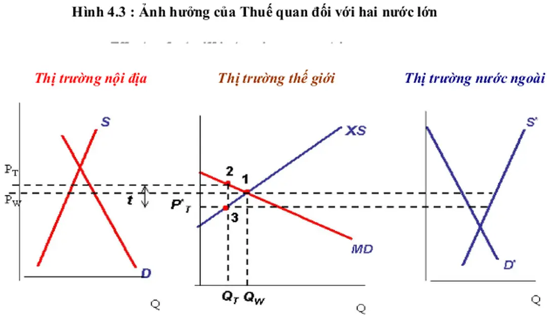Hình 4.3 cho thấy giá cả thế giới (P W ) là giá mua bán của thị trường nội địa với bên ngoài trong điều  kiện thương mại tự do