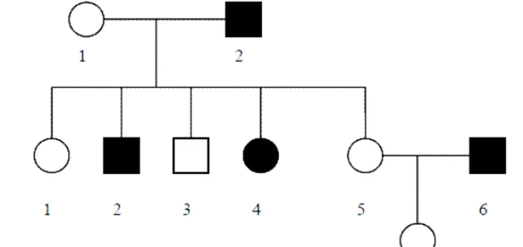  Câu 12. Sơ đồ sau minh họa cho các dạng đột biến cấu trúc nhiễm sắc thể nào?