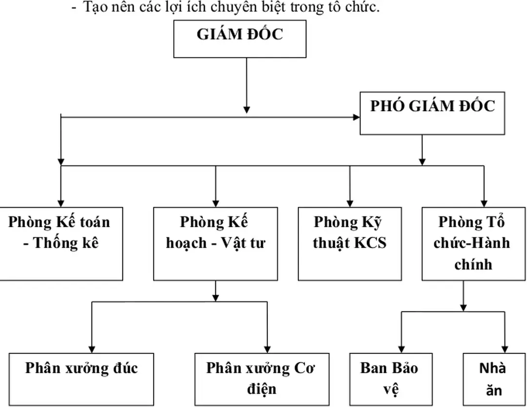 Sơ đồ 4 : Mô hình tổ chức quản lý của nhà máy cơ khí 19-5