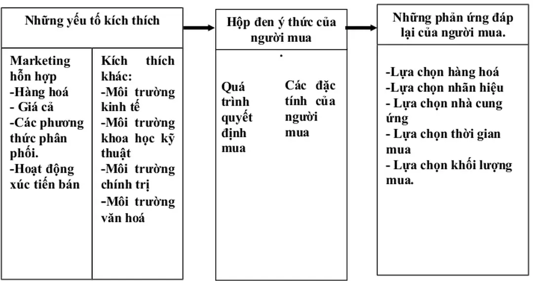 Hình 3.2: Mô hình chi tiết hành vi mua của người tiêu dùng