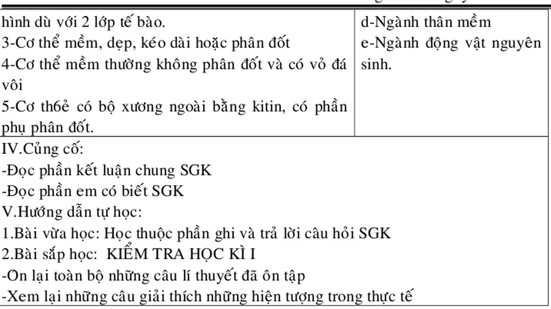 Hình dù với 2 lớp tế bào.