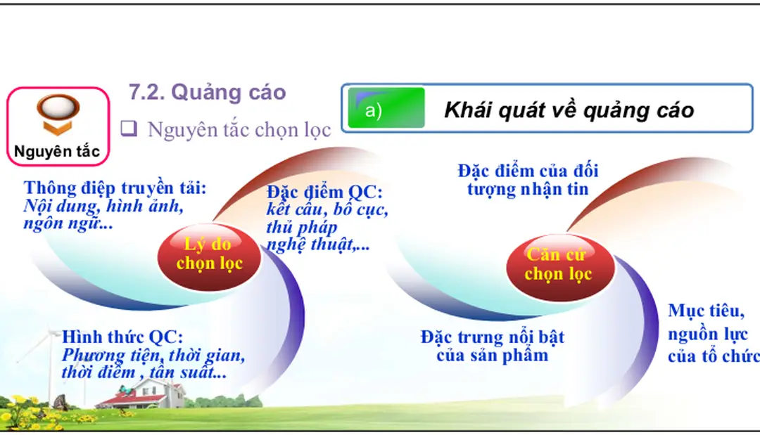 Hình thức QC:          