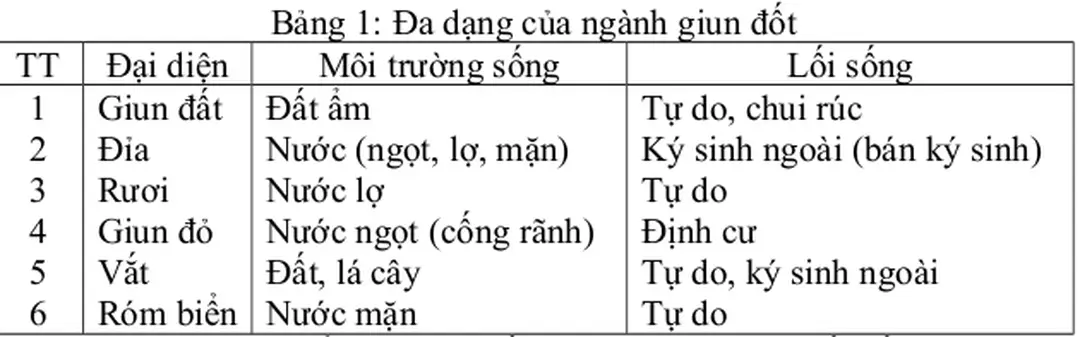 Bảng 1: Đa dạng của ngành giun đốt