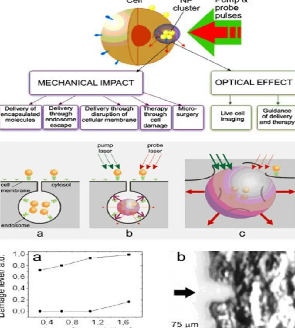 Hình  ảnh  minh  họa  công  nghệ  sử  dụng 