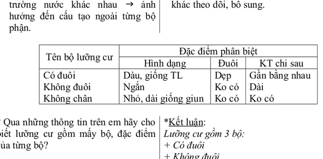 Hình dạng Đuôi KT chi sau Có đuôi