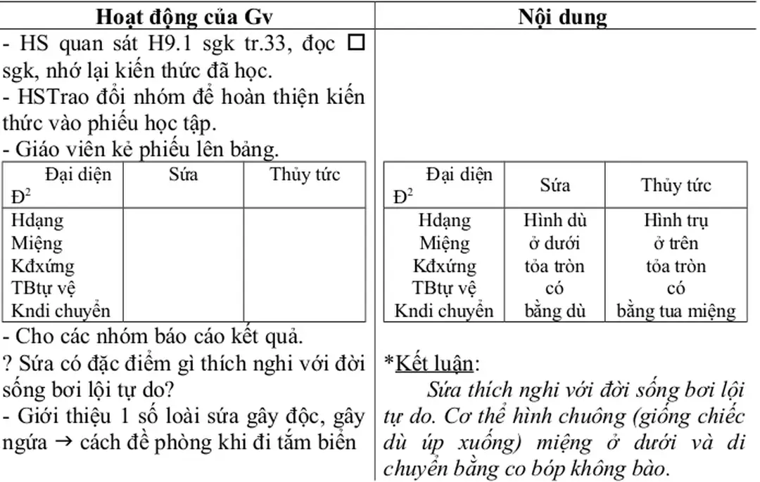 Hình dù ở dưới tỏa tròn