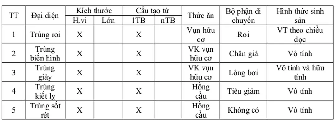 Hình thức sinh sản