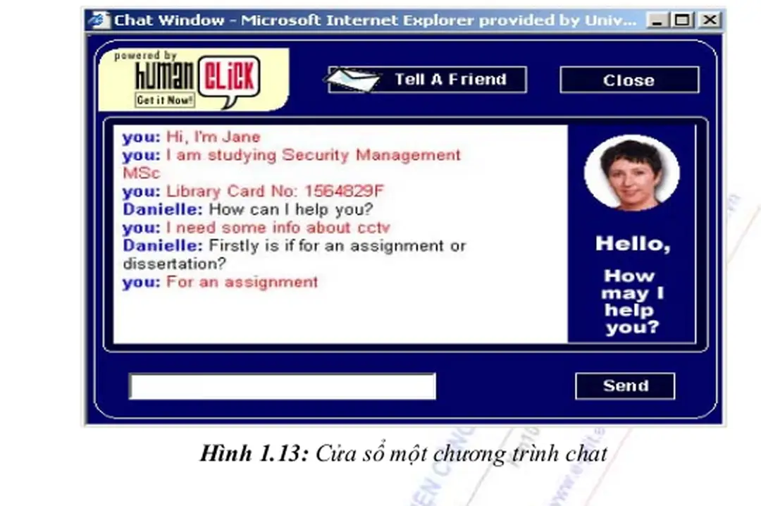 Hình 1.13: Cửa sổ một chương trình chat 