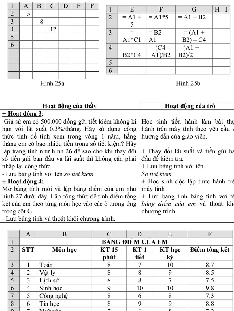 Hình 25a  Hình 25b