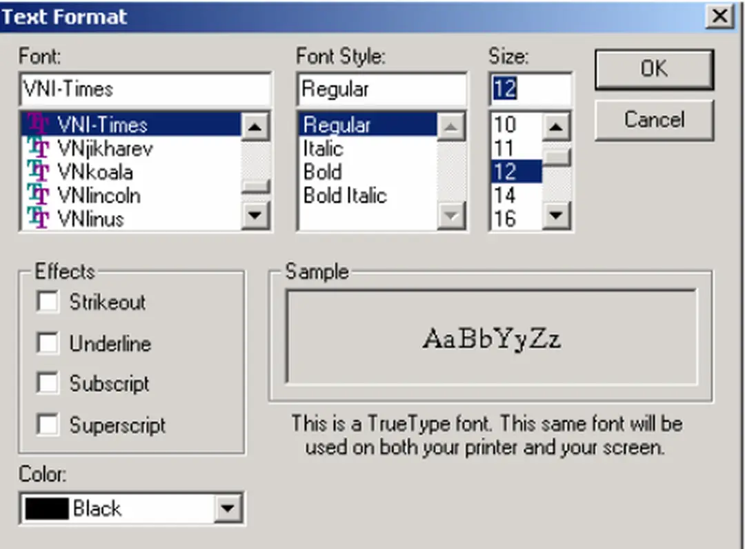 Hình 2.3. Hộp thoại Text Format 