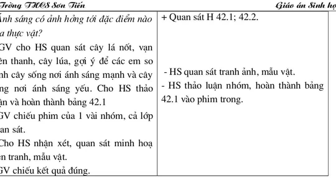 Bảng 42.1: ảnh hởng của ánh sáng tới hình thái và sinh lí của cây