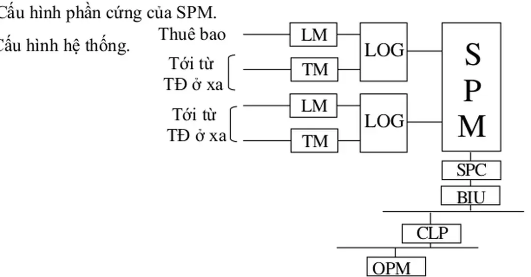 Hình 13: Vị trí của SPM trong hệ thống chuyển mạch NEAX – 61E