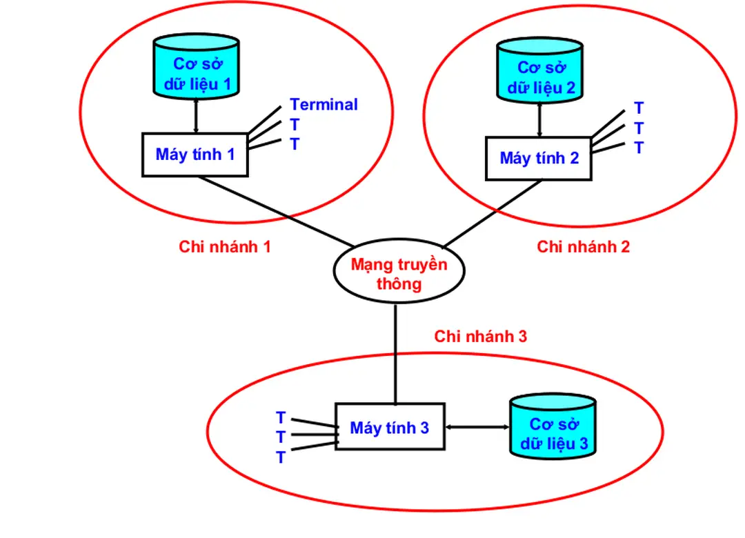 Hình 1.1. Cơ sở dữ liệu phân tán trên một mạng phân tán địa lý.