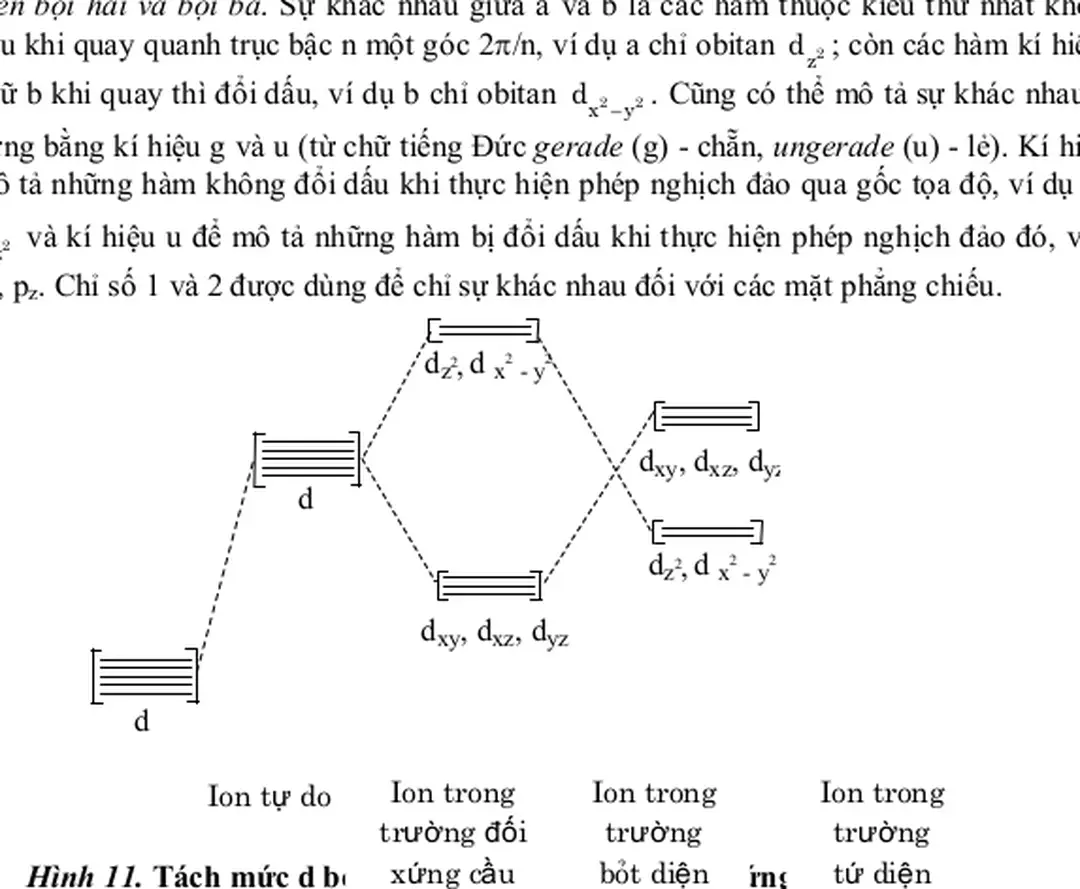 Hình 11. Tách mức d bởi các trường phối tử có đối xứng khác nhau 