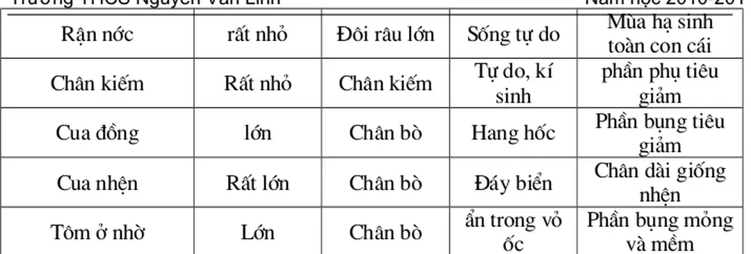      - GV: - Chuẩn bị tranh vẽ H25.1, H25.3, H25.4, H25.5, bảng phụ, mẫu vật       - HS: kẻ phiếu học tập vào vở