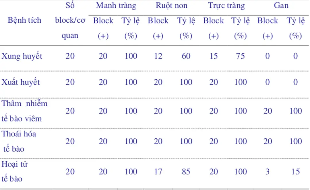 Bảng 4.10 Bệnh tích vi thể ở một số cơ quan của gà bị bệnh cầu trùng  