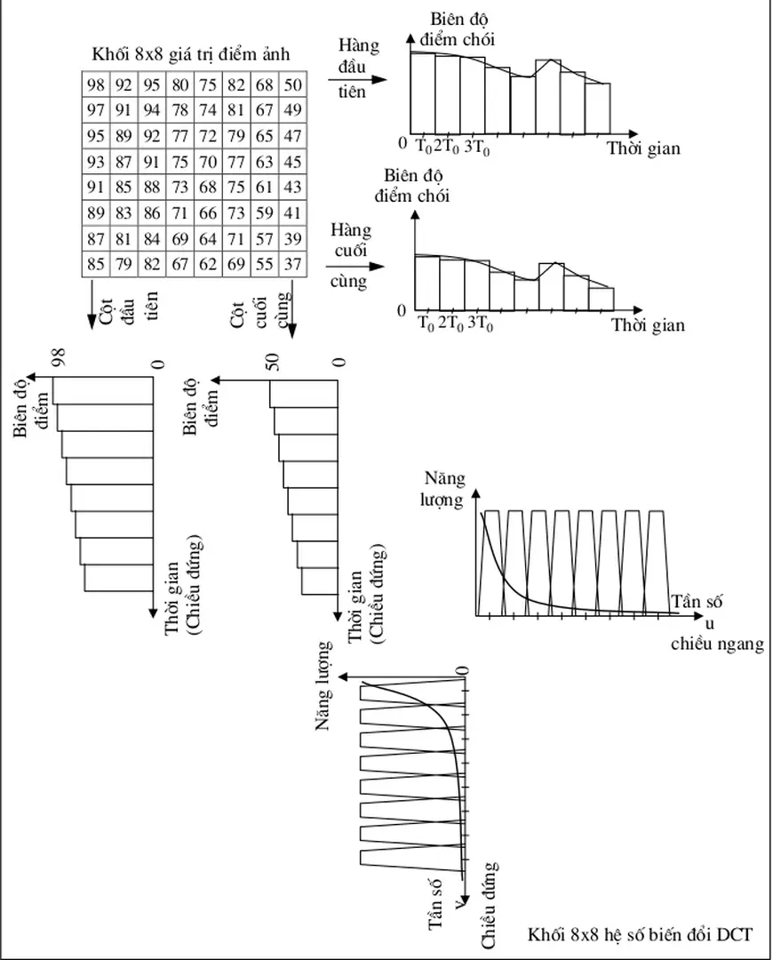 Hình II.2.11 :    Biến đổi DCT 2 chiều  khối 8x8 điểm ảnh   