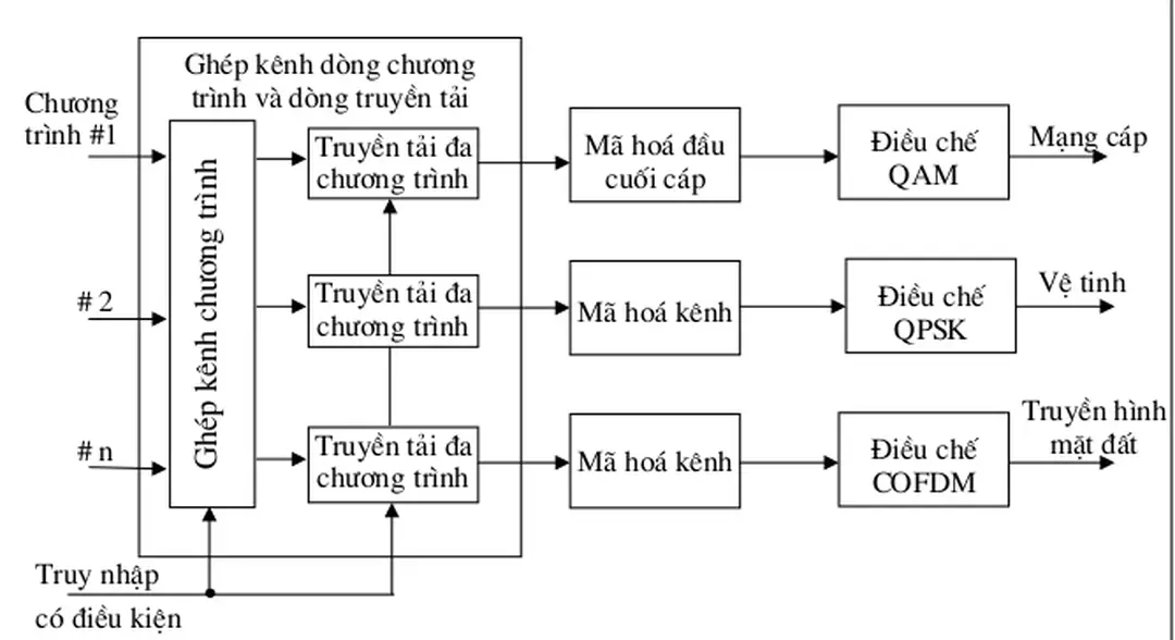 Hình I.3.4:  Các dạng thức truyền dẫn DVB điển hình 