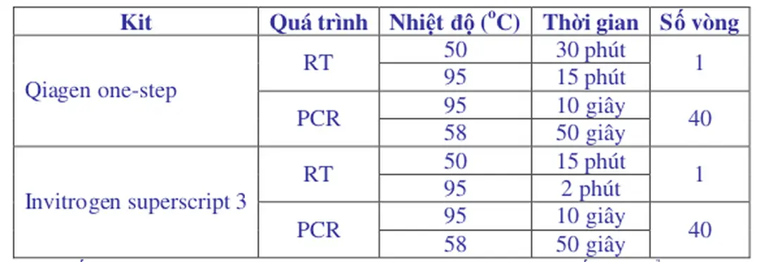Bảng 3.1. Chu kì nhiệt của phản ứng RRT-PCR 