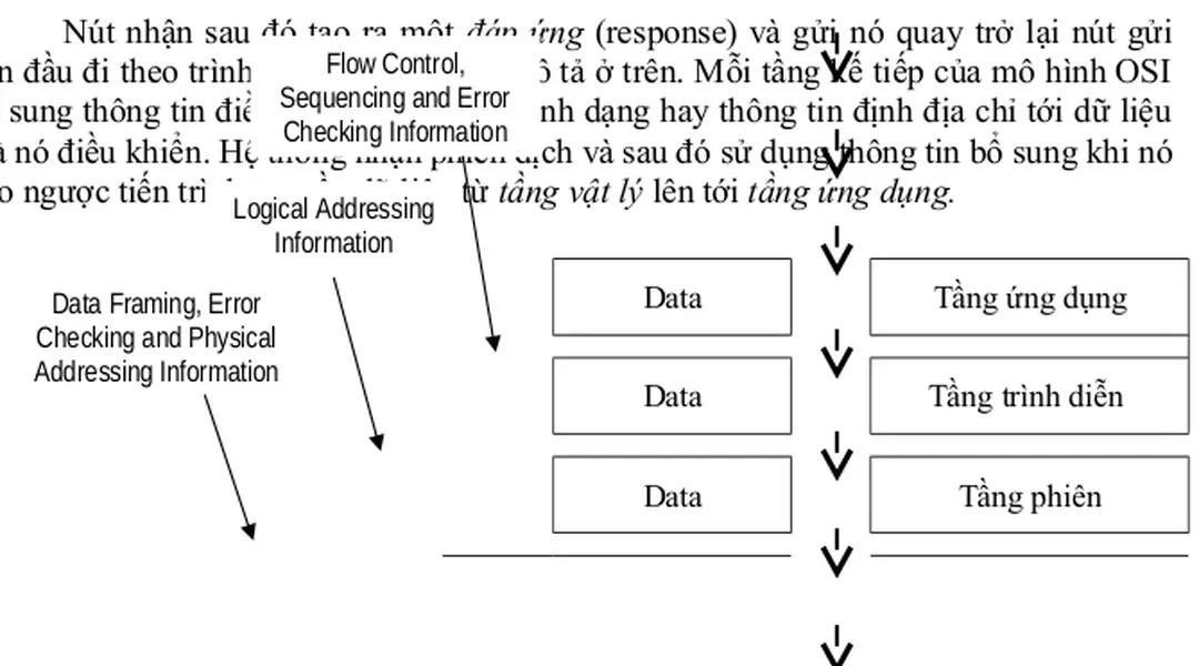 Hình 2.4    Dữ liệu được truyền qua mô hình OSI