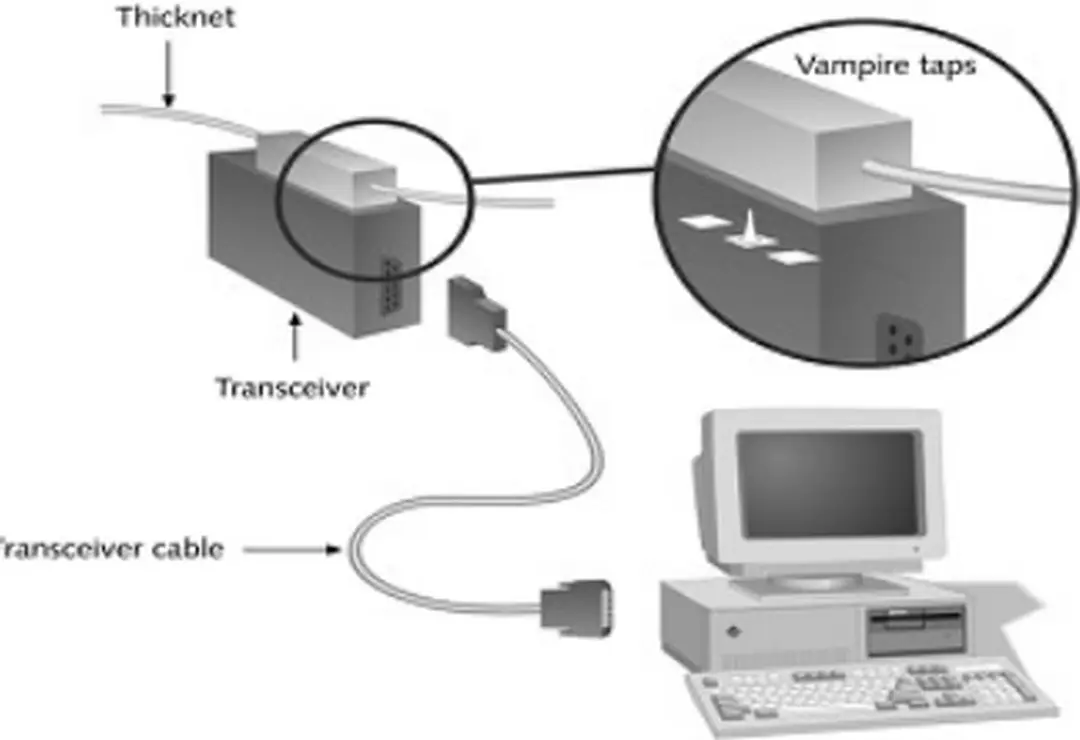 Hình 3.5  Sơ đồ mạng dùng cáp đồng trục dày