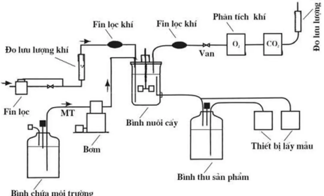 Hình 3.2. Sơ đồ đơn giản mô tả nguyên tắc lên men liên tục 