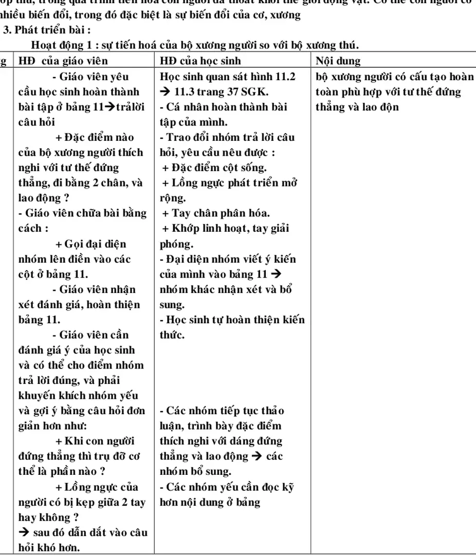 Bảng phụ so sánh sự khác nhau giữa bộ xương người và bộ xương thú.