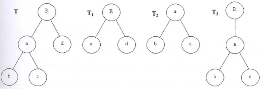 Hình ảnh cây con bị xén 