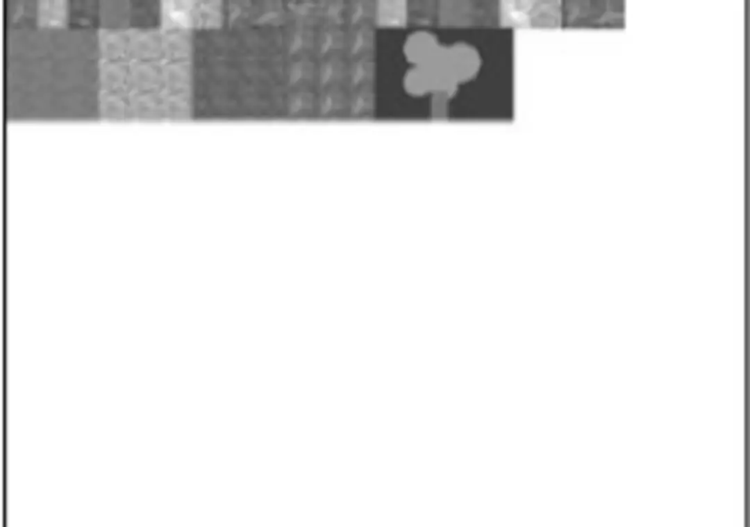 Hình 3.1 Các ảnh hay được sử  dụng trong game nhập vai 