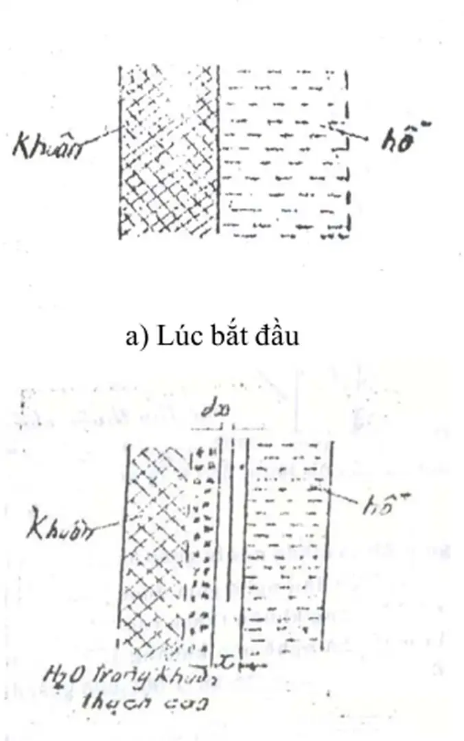 Hình 14. Mô hình hút nước của thạch cao từ hồ đổ rót 