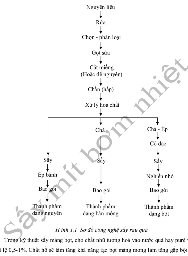 H ình 1.1  Sơ đồ công nghệ sấy rau quả 
