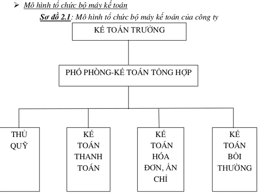 Sơ đồ 2.1: Mô hình tổ chức bộ máy kế toán của công ty 