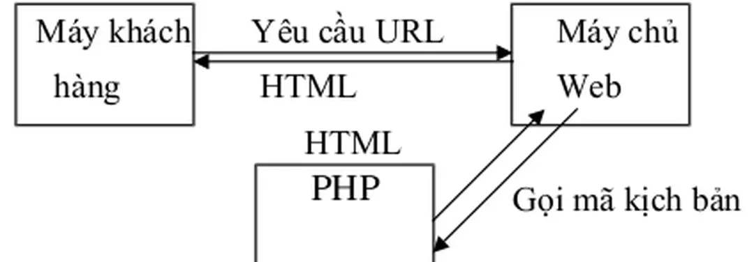 Sơ đồ hoạt động: