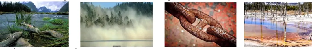 Hình ảnh về ảnh hưởng của mưa acid đối với môi trường.