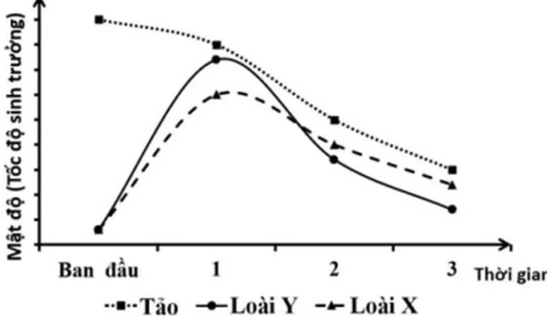 Câu 116: Hình sau mô tả 