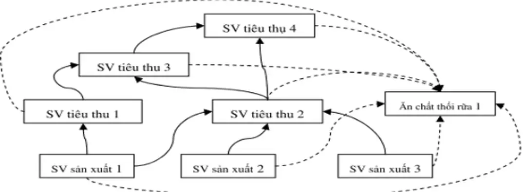Câu 37: Hình sau mô tả các quan hệ giữa các SV trong một hệ sinh thái hồ biệt lập.