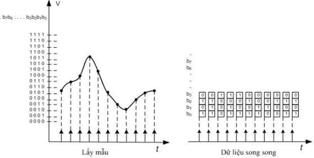             Hình 8: đồ thị lấy mẫu và dự liệu song song theo thời gian