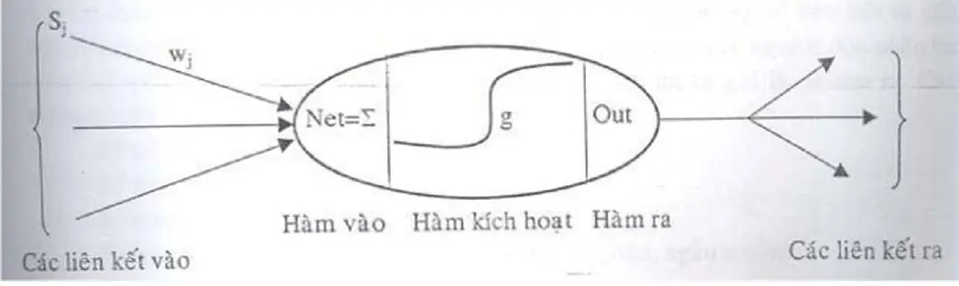 Hình 3.2   Mô hình neural nhân tạo