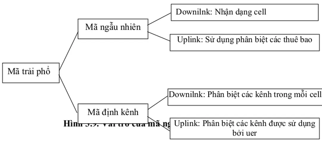Hình 3.9. Vai trò của mã ngẫu nhiên và mã kênh trong 3.5.2.  Mã ngẫu nhiên 