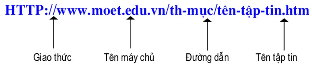 Hình sau đây mô tả cấu trúc của một URL.