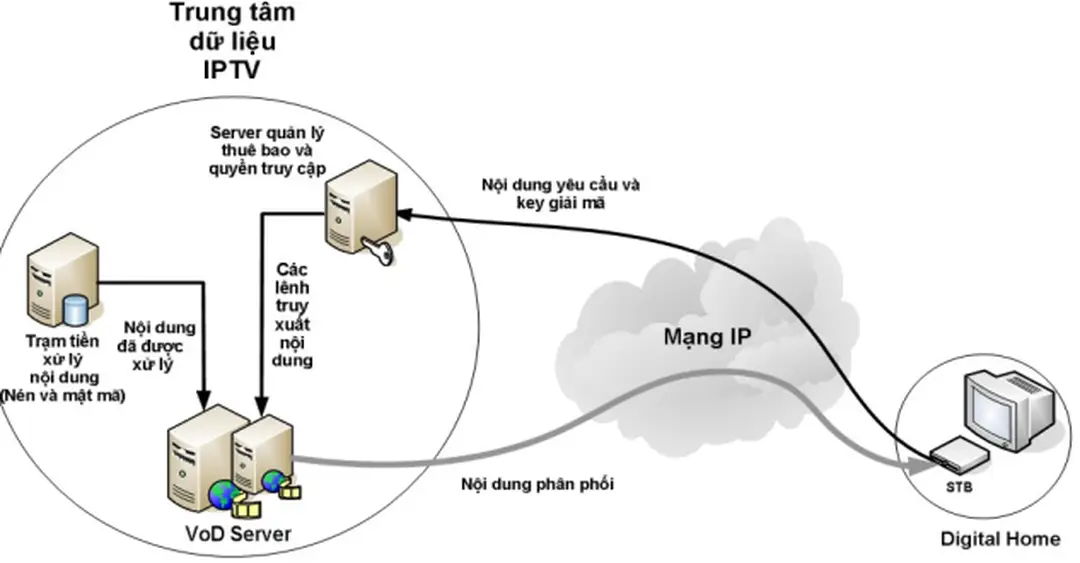 Hình 1.6 Cấu trúc hệ thống VoD